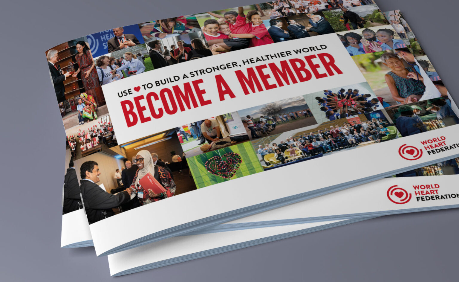 Mint Leeds Brochure Design Global Health 28