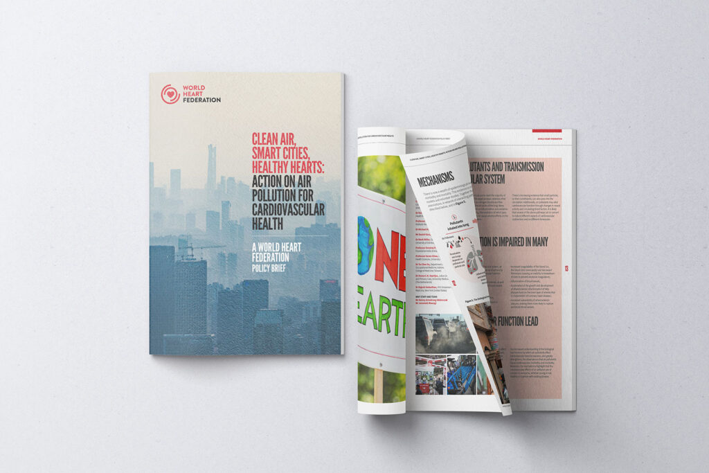 Mint Leeds Brochure Design Global Health 5