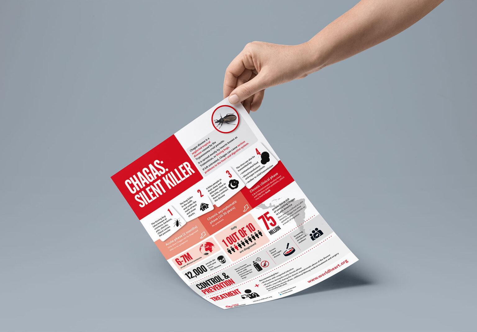 Mint Leeds Leaflet Design Global Health 7