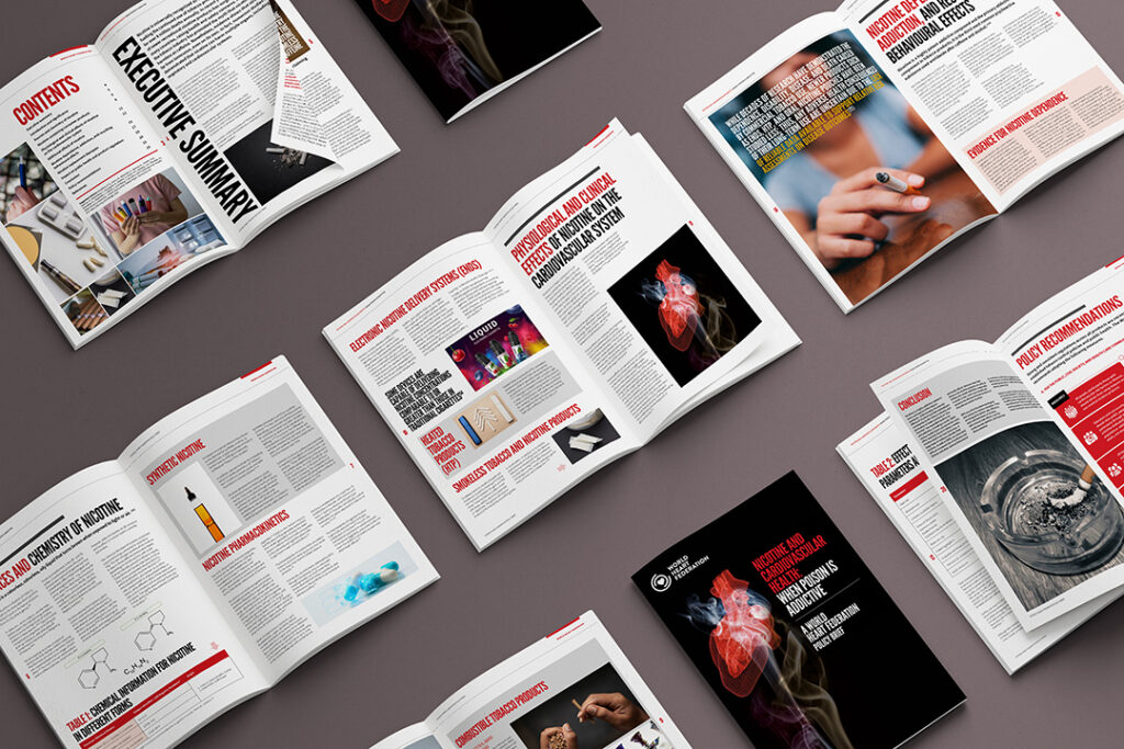 Mint Leeds Brochure Design Global Health 38