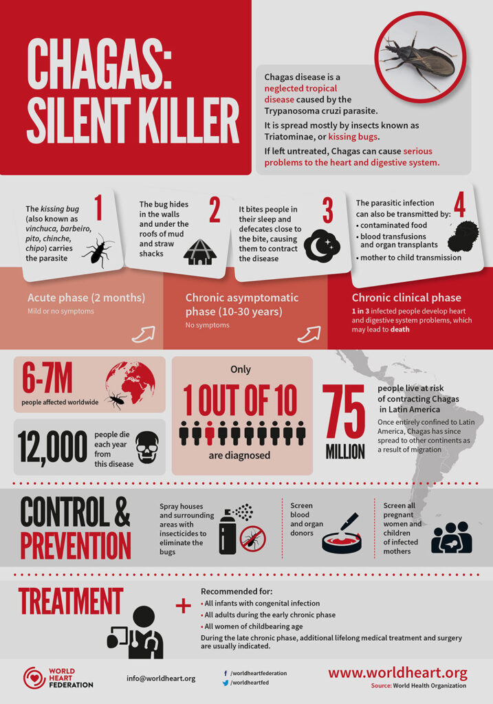 Mint UK European Design Agency Global Health Infographics